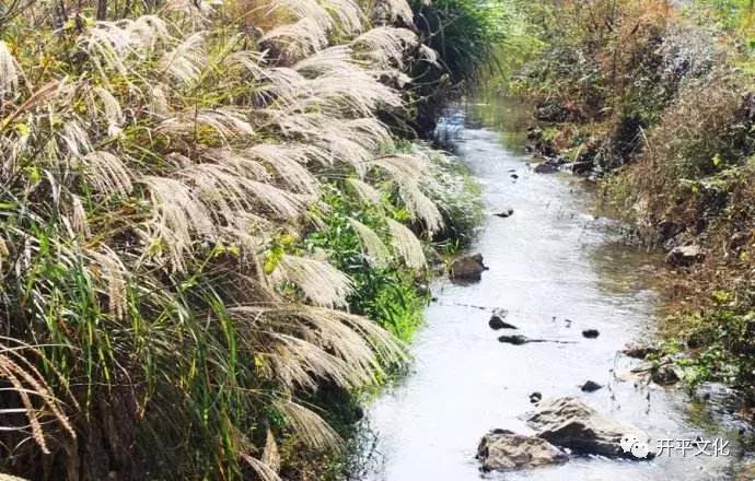 品读之约：锁在深山人未识