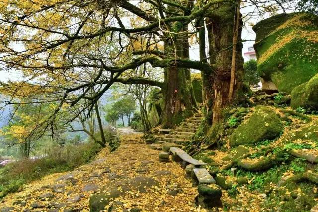 南昌自驾游攻略景点推荐一日游,南昌附近免费好玩的地方自驾游