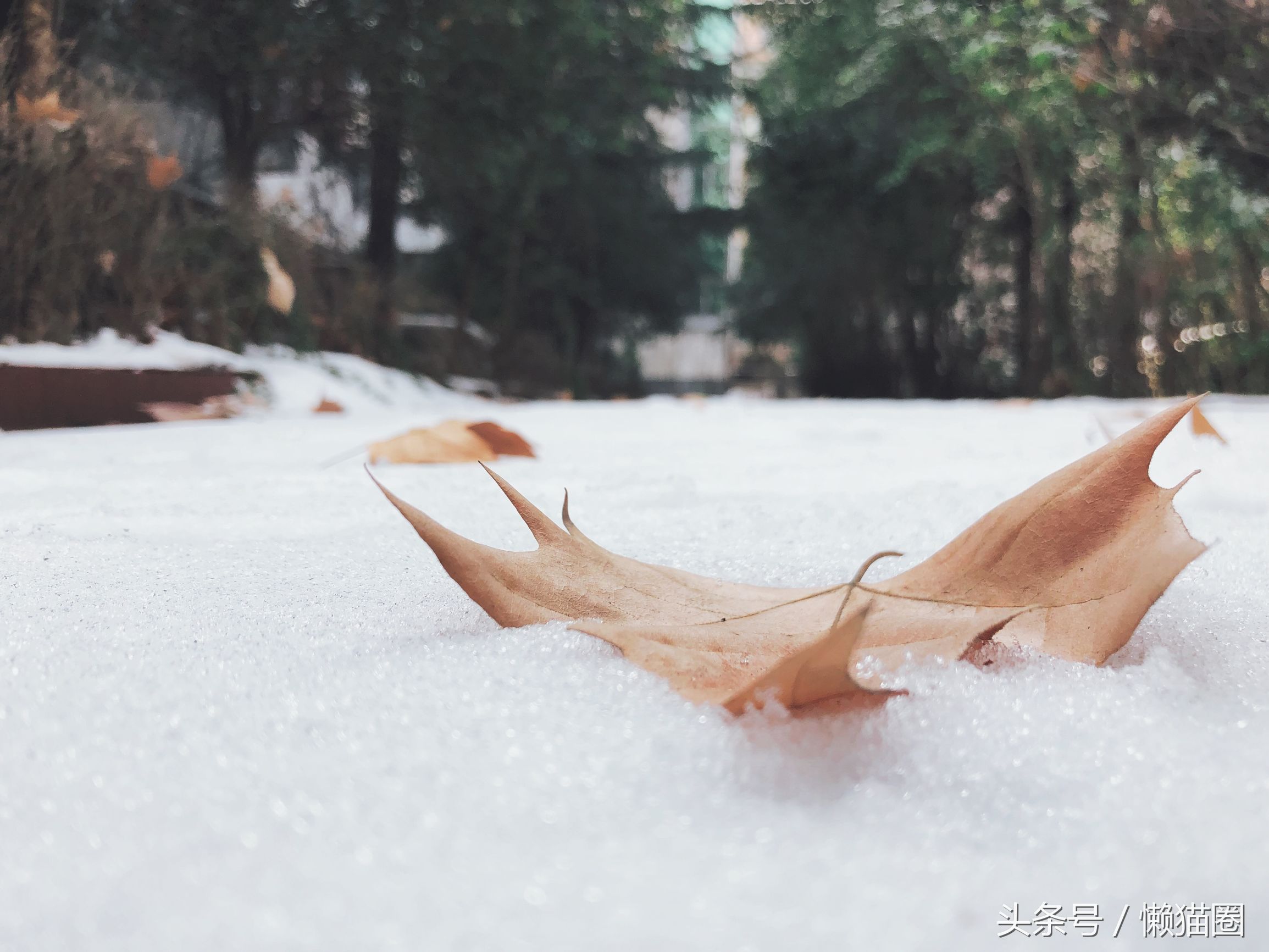 dyson戴森风扇怎么开,dyson空气净化风扇对比Dyson风扇