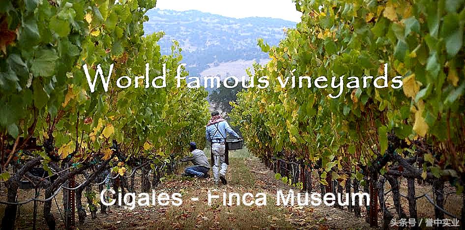 西班牙葡萄酒厂排名前十,西班牙葡萄酒知名品牌有哪些