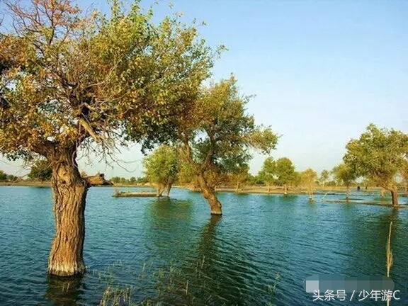 有2个浙江或6个台湾大,农民人均收入直逼上海,它就是*疆新**若羌县