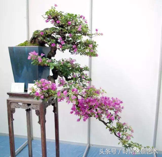 过年送礼好不好,过年送礼单数还是双数好