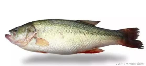 鱼怎么蒸最简单好吃,鱼这样蒸特别好吃