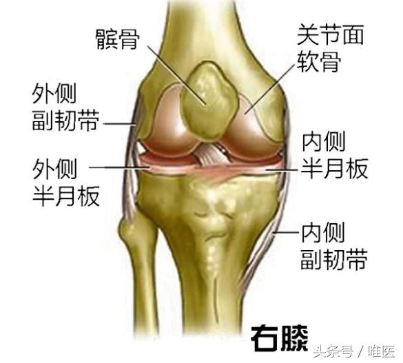 膝关节炎防治知识你了解多少呢,膝关节炎100问科普版