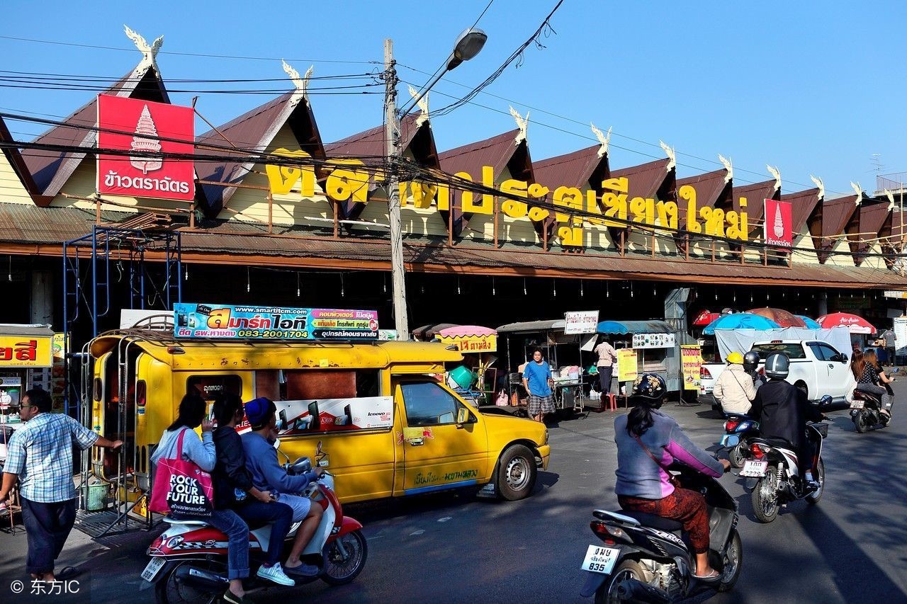 狗能吃海带么,海带能不能给狗吃