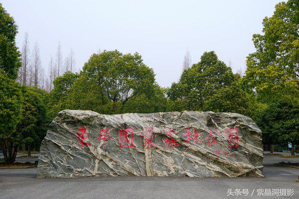 武磊身价能涨到2000万欧吗,武磊最新身价达2000万欧