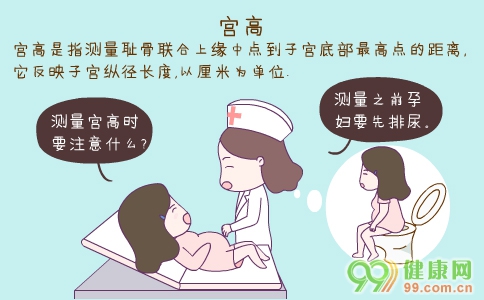 宫高标准对照表2023,宫高标准对照表