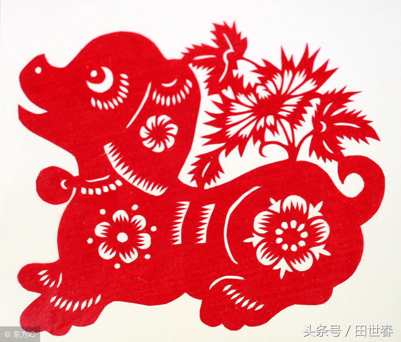 2018年十二生肖整体运势如何呢,2018年的12生肖运势详解