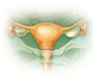 绝经后,子宫也会给你发出“警报”