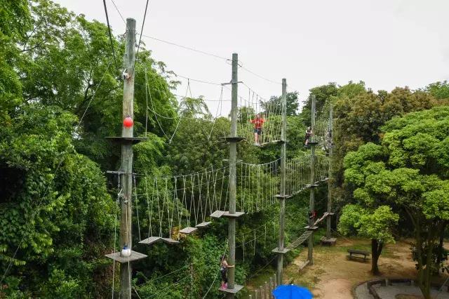 不太累的厦门旅游攻略,不累且便宜的亲子游