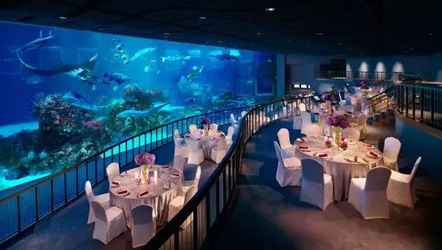 不太累的厦门旅游攻略,不累且便宜的亲子游