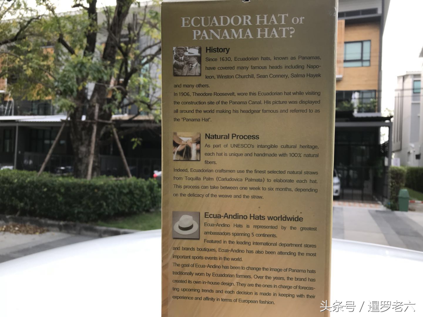 媳妇在泰国买了顶“帽子”，八百多元，还是纯羊毛！这是啥牌子？