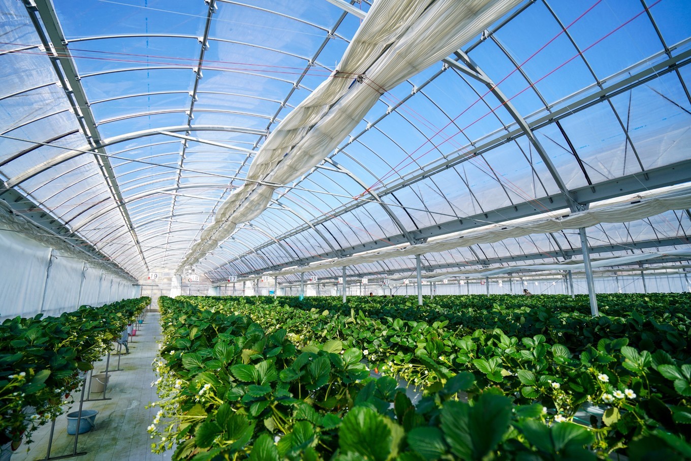 handycam,handycam亲子游