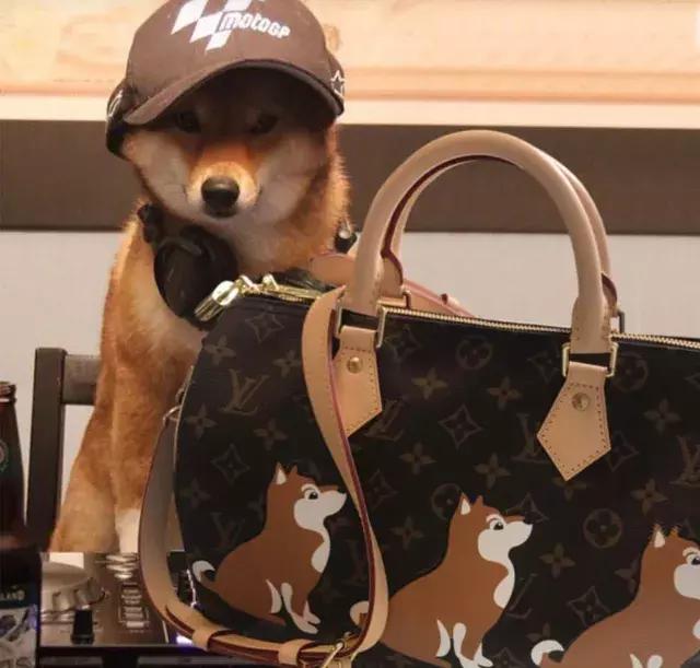 外国人春节凑热闹,中国过年老外凑热闹