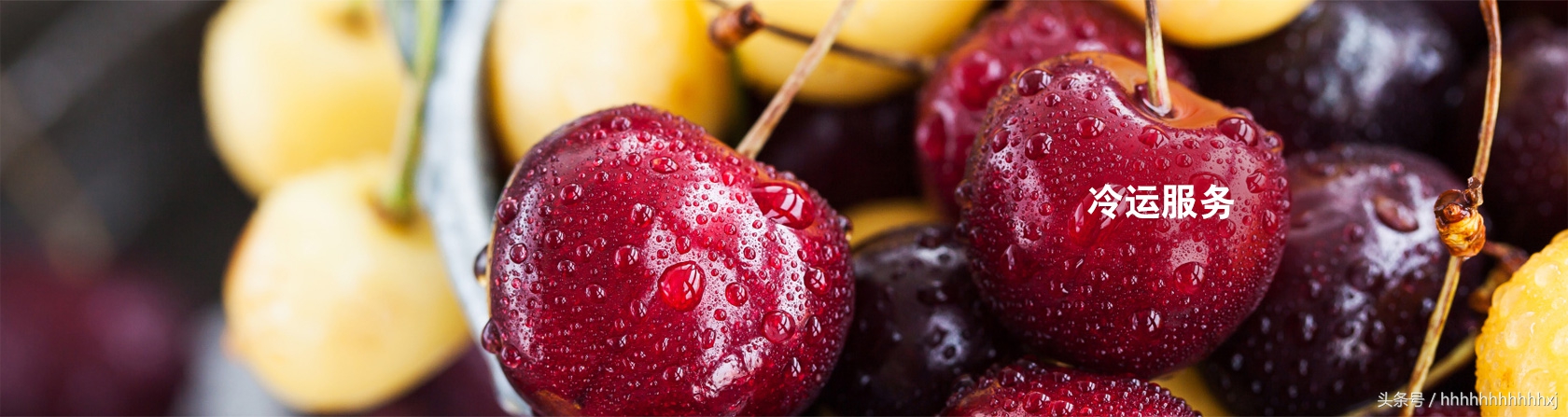 顺丰推出顺丰快运品牌新logo亮相,顺丰快递公司logo设计理念