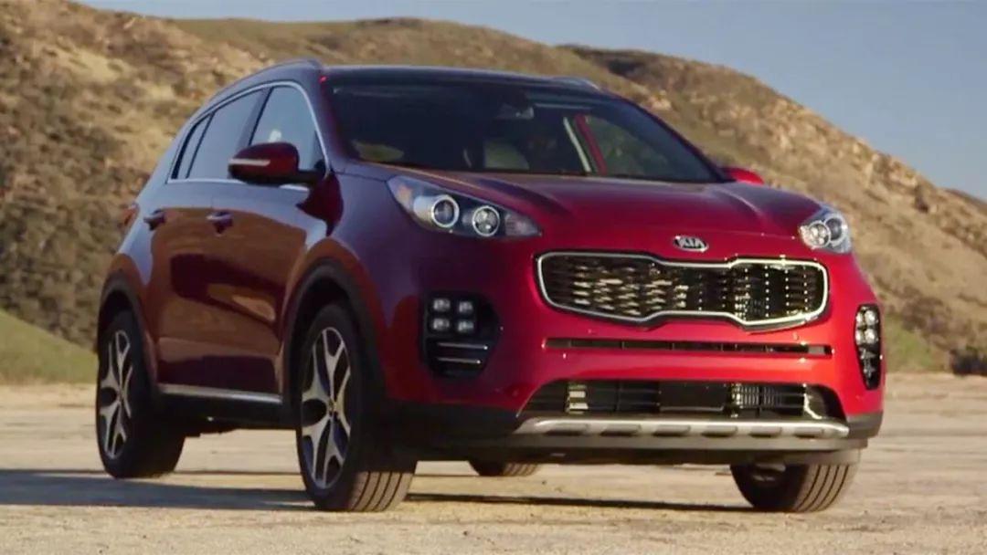 旅行青蛙可以养成大青蛙吗,旅行青蛙耍帅