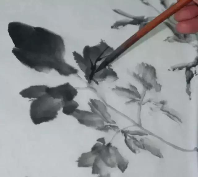 果果小写意牡丹画法教学视频,王绣写意牡丹画法零基础视频