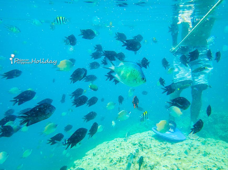 夏天适合情侣去的小众海岛,最适合情侣去的小众海岛