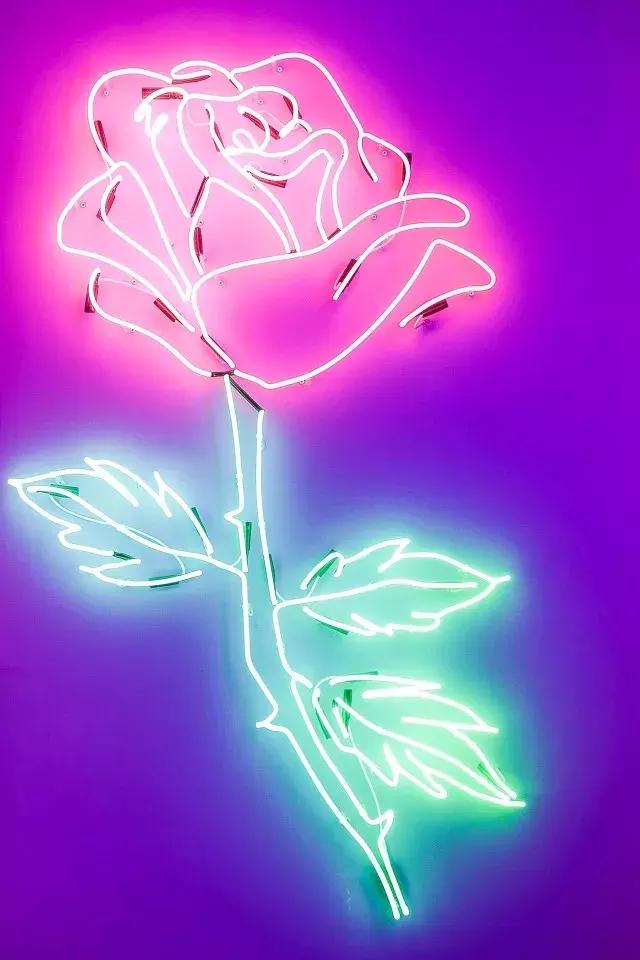 今年上海的春节,上海市的春节