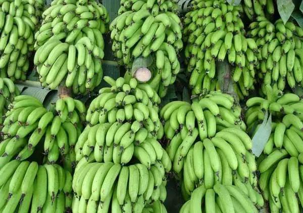 过年去河口旅游攻略,中越边境旅游攻略