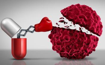 pd1同步放疗副作用,香港pdl1去哪买