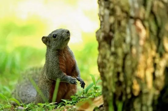 金华近期活动,金华市最新活动