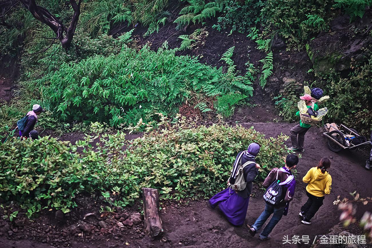宜珍火山蓝火开放吗,宜珍蓝火