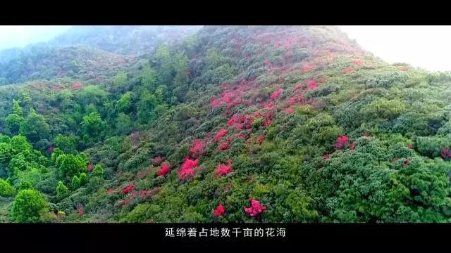 云南泸西春节旅游,泸西红高原