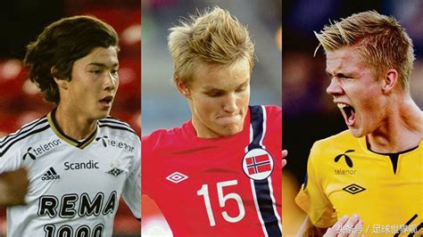 侯永永和厄德高,侯永永厄德高哈兰德