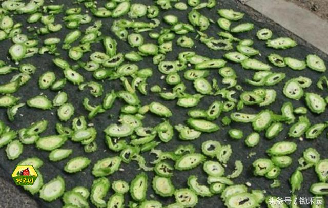 过年长胖十几斤该如何减肥,过年期间长胖怎么减肥