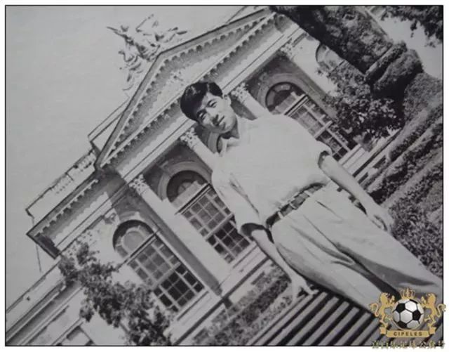 津门足坛双百颂张亚男,津门足坛双百颂书籍