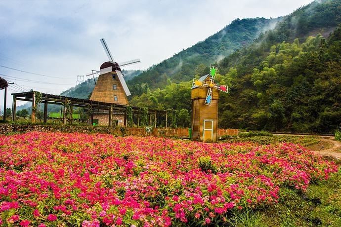 金华近期活动,金华市最新活动