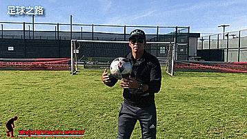 缃楃撼灏旇开灏煎ゥ鑳搁儴鍋滅悆闆嗛敠,缃楃撼灏旇开灏煎ゥ鑳搁儴鍋滅悆