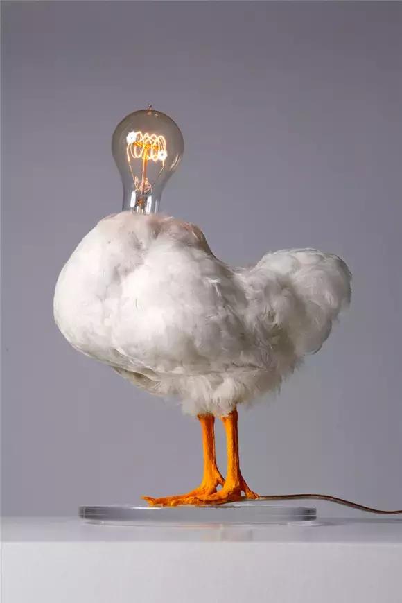 他把12个前女友都做成了高跟鞋？到底是真的假的