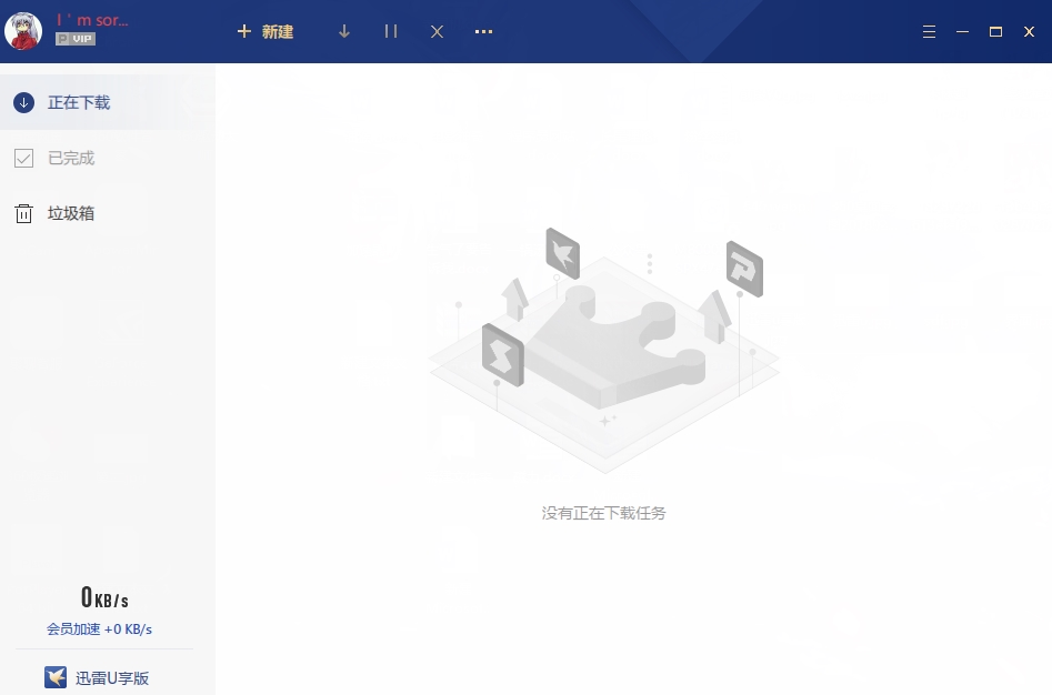 迅雷极速版精简版最新中文版,迅雷不限速版的软件