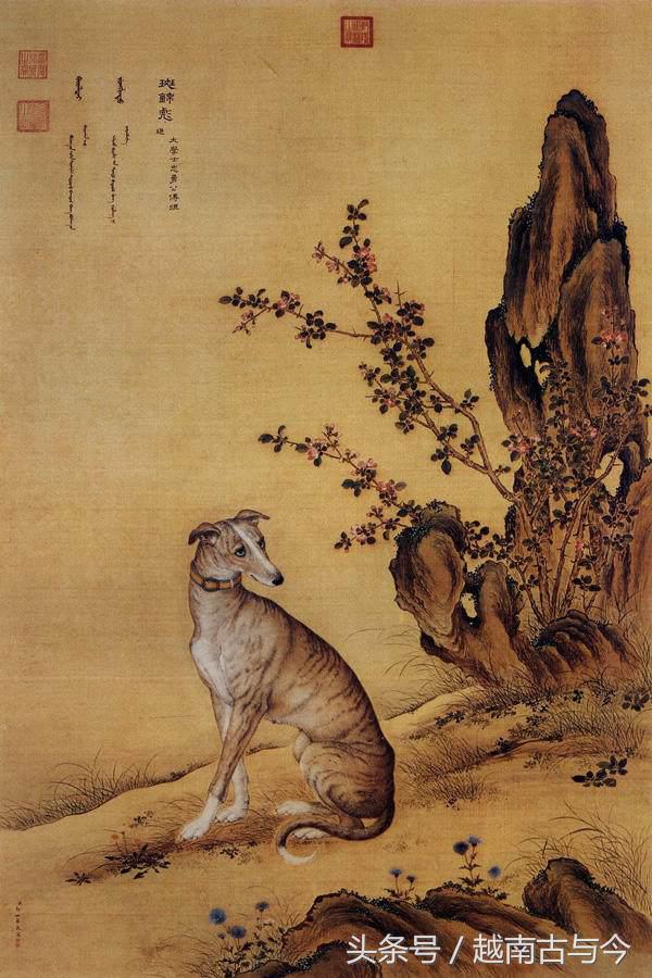 狗年说狗民间关于狗的传说,狗年说狗闲谈中国狗文化