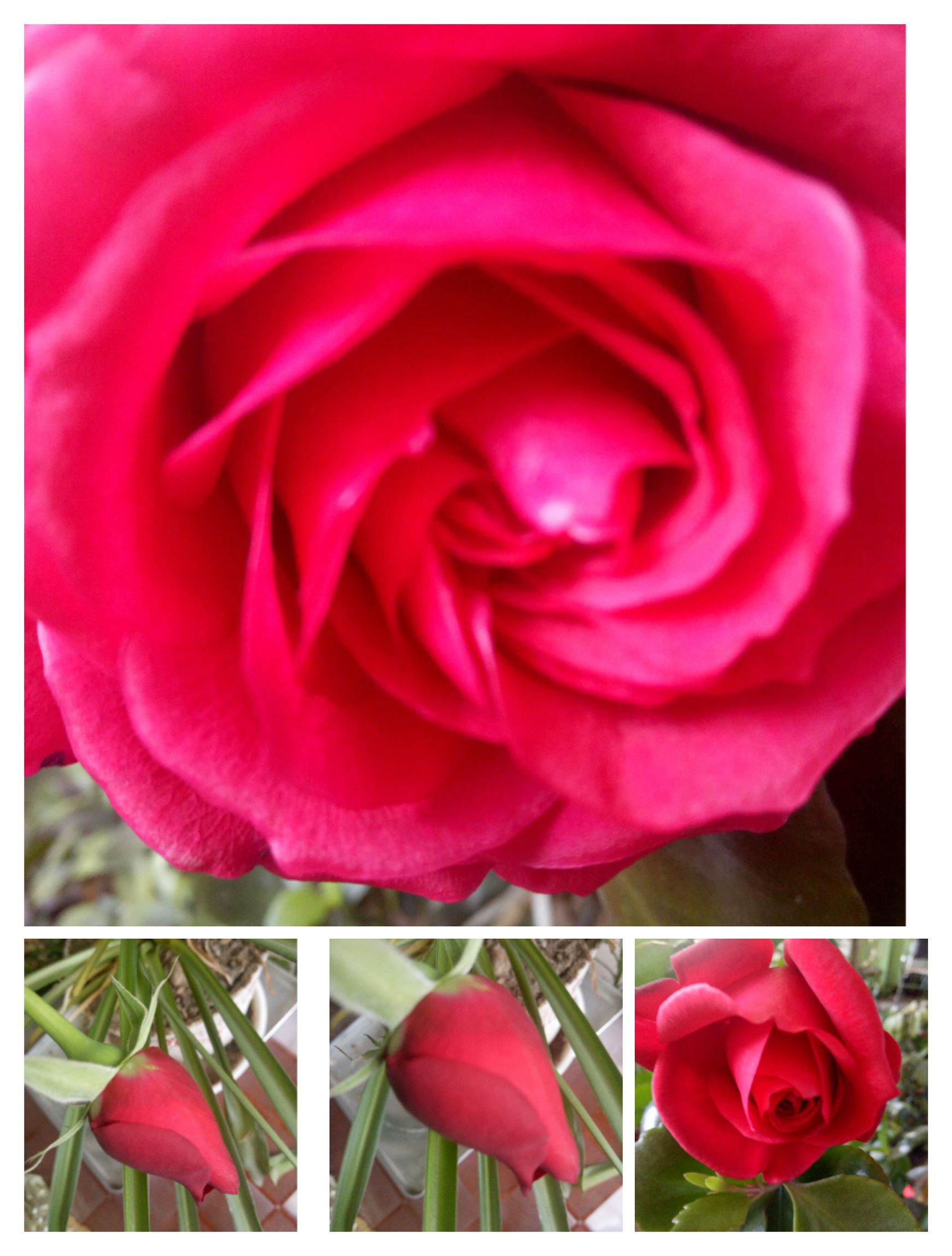 寒冷冬天来杯暖心茶,寒冷冬天里的一杯暖心茶