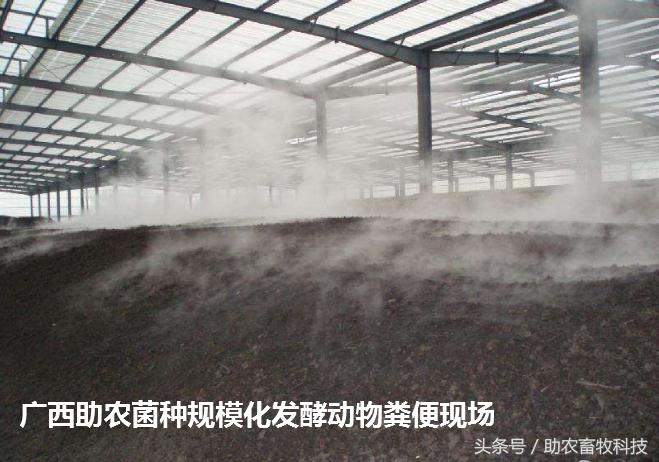 中型有机肥生产线设备厂家直销,小型有机肥生产线需要多少钱