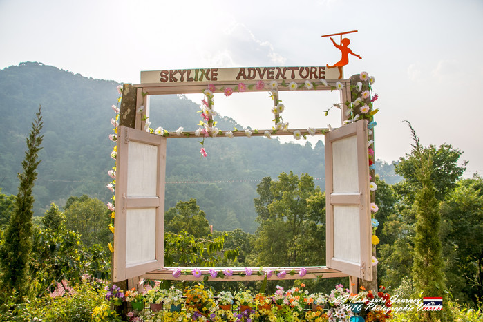 泰国清迈县旅行者,清迈佛寺之城等你采撷的泰北玫瑰