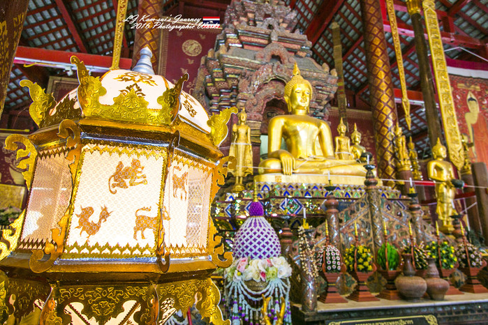 清迈佛寺之城等你采撷的泰北玫瑰,清迈环球旅行家