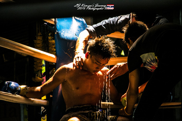 泰国清迈县旅行者,清迈佛寺之城等你采撷的泰北玫瑰