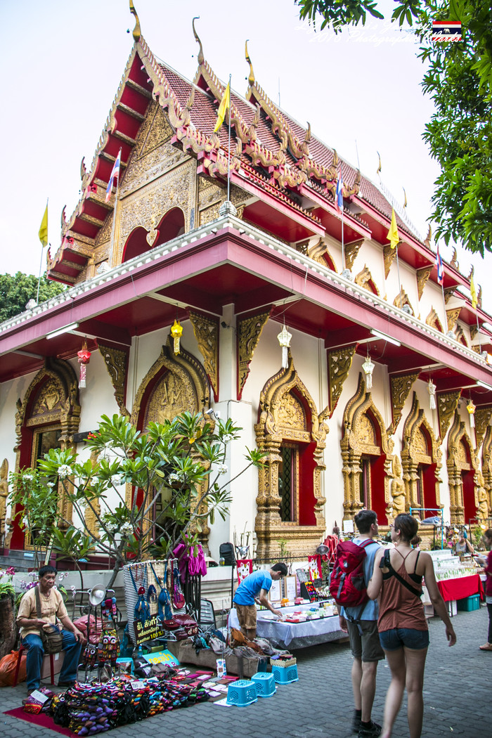 清迈佛寺之城等你采撷的泰北玫瑰,清迈环球旅行家