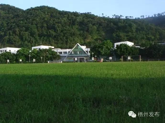 喜欢男生的100个理由,喜欢足球明星的理由