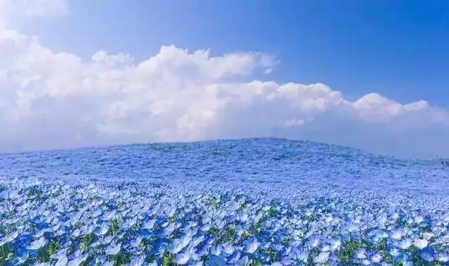 去日本必去的10个秘境,来日本东京玩必去的几个地方