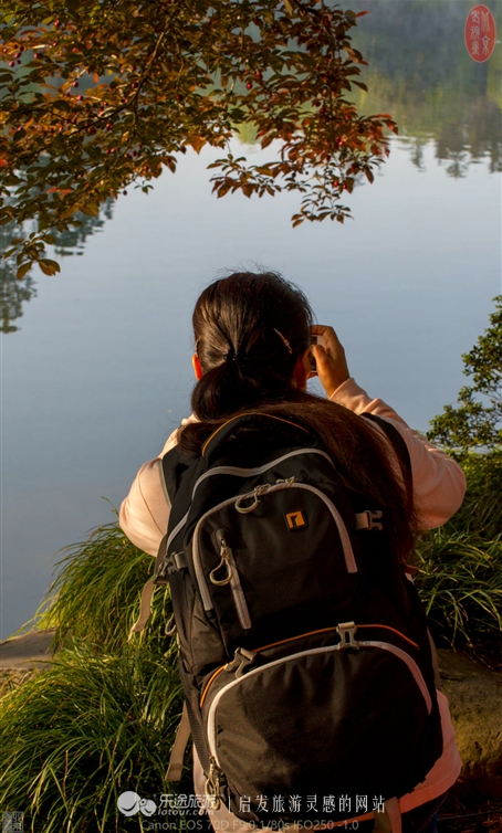 游览安吉中南百草园,中南百草原几个小时游玩