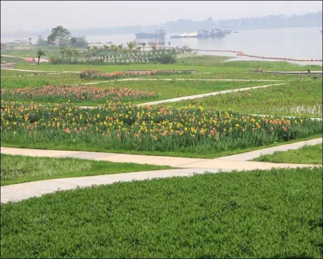 我叫佛山，我家“五美”私房照首次曝光，看看你最中意哪一款？