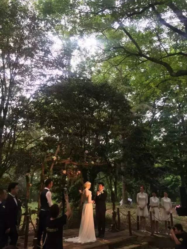 撒贝宁来潜江后湖,撒贝宁婚礼惹出大麻烦