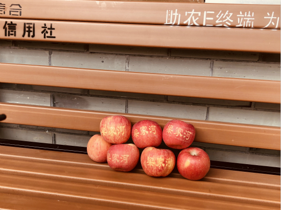 陕北信天游原生态,陕西梁家河村旅游路线