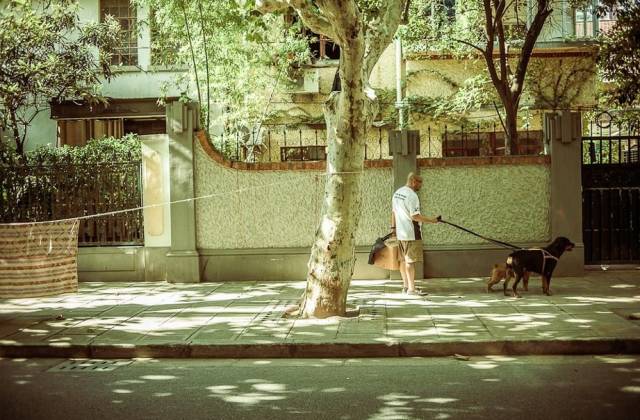 土著带你玩大连开发区,土著带你玩上海