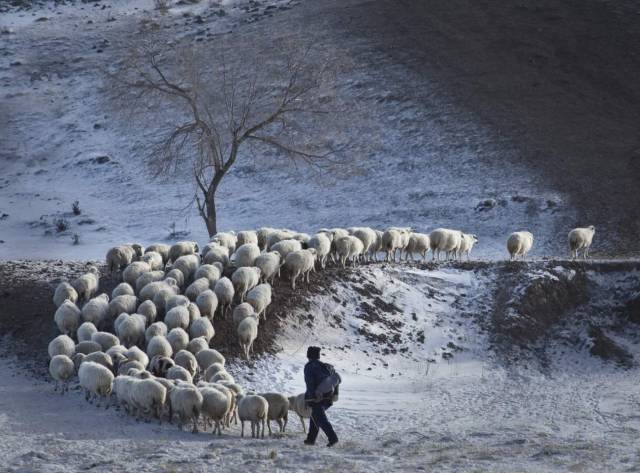 爱上内蒙古的四个理由,爱上准格尔的十大理由